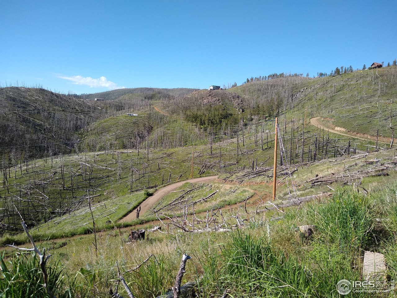 1600 Whale Rock Road Bellvue, CO 80512 - Photo 18 of 26