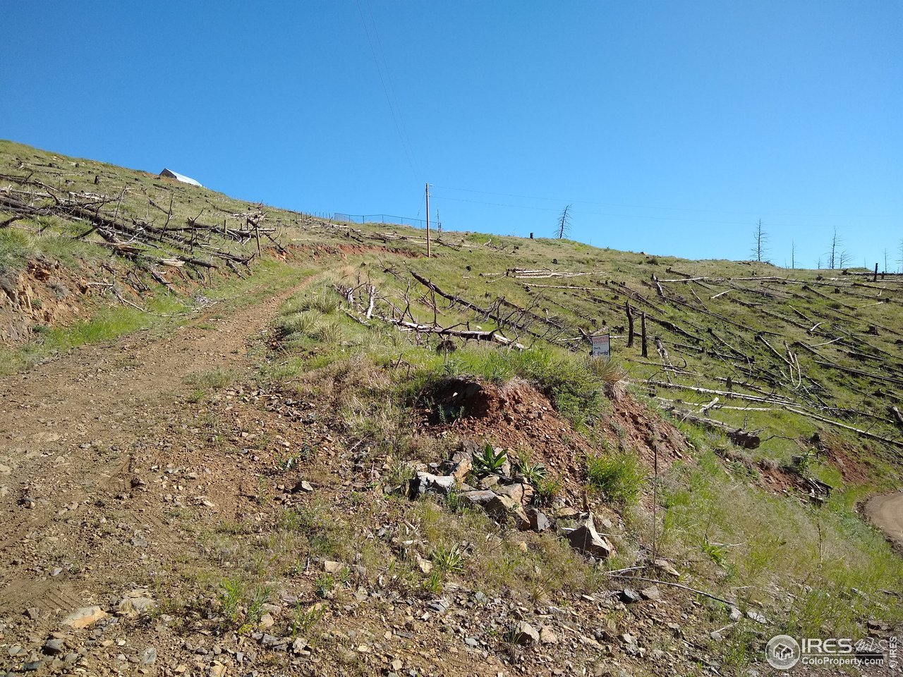 1600 Whale Rock Road Bellvue, CO 80512 - Photo 20 of 26