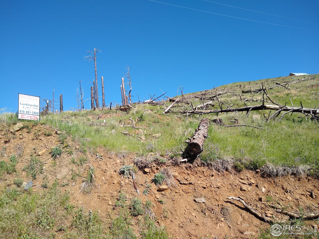 1600 Whale Rock Road Bellvue, CO 80512 - Photo 22 of 26
