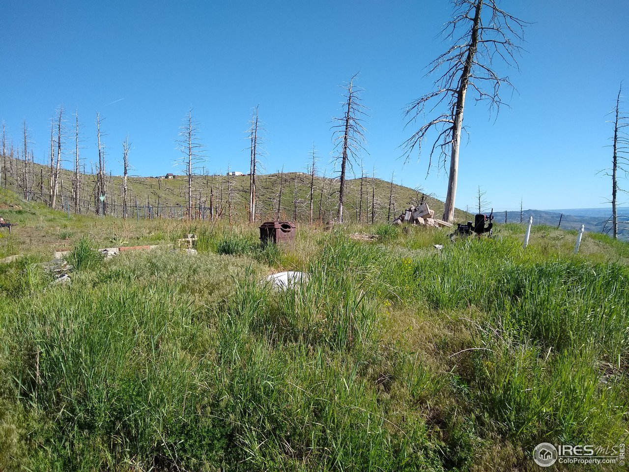 1600 Whale Rock Road Bellvue, CO 80512 - Photo 23 of 26