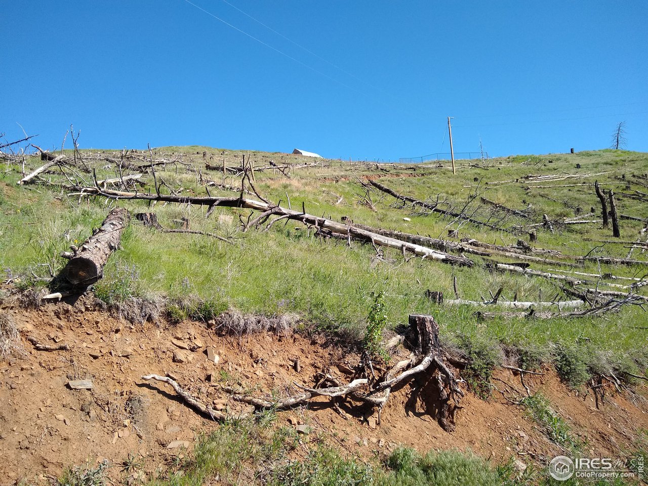 1600 Whale Rock Road Bellvue, CO 80512 - Photo 24 of 26