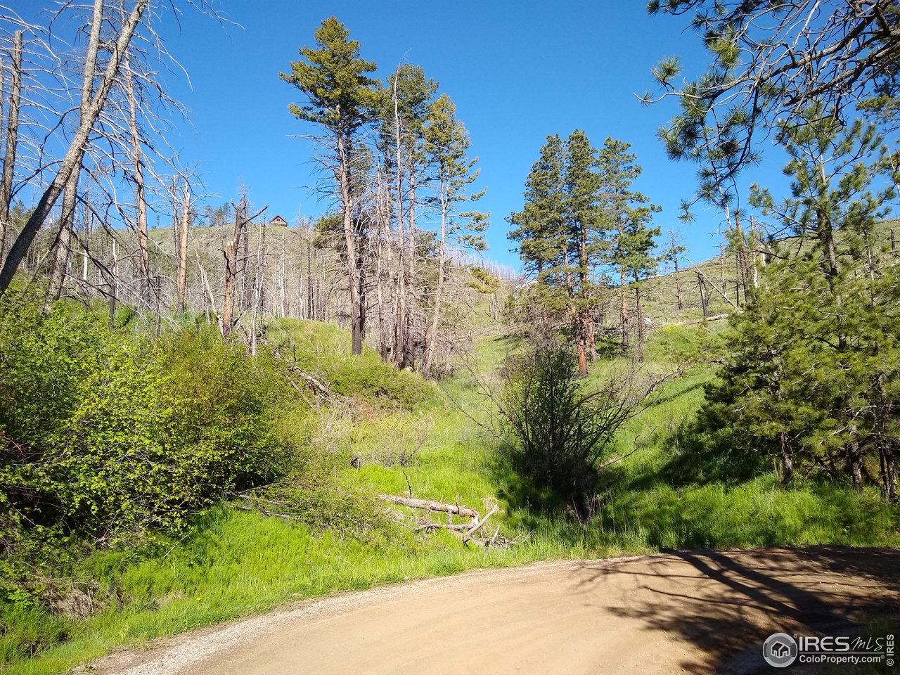 1600 Whale Rock Road Bellvue, CO 80512 - Photo 25 of 26