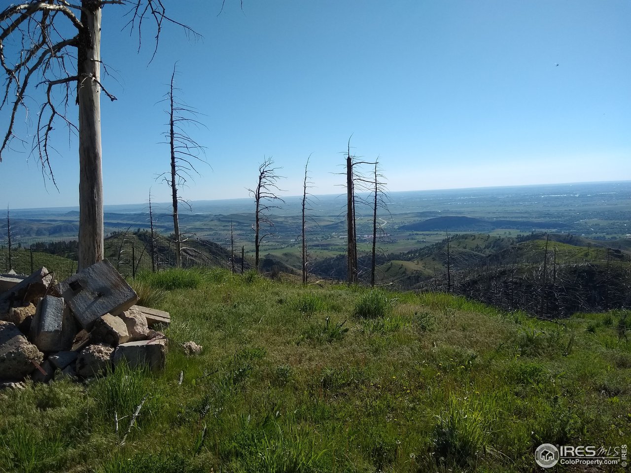 1600 Whale Rock Road Bellvue, CO 80512 - Photo 4 of 26 Build Your Dream Home