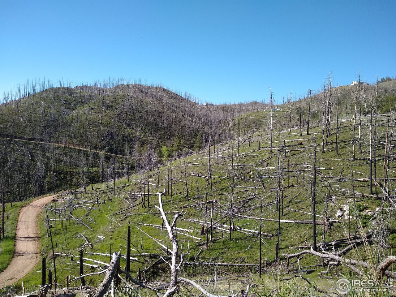 1600 Whale Rock Road Bellvue, CO 80512 - Photo 6 of 26