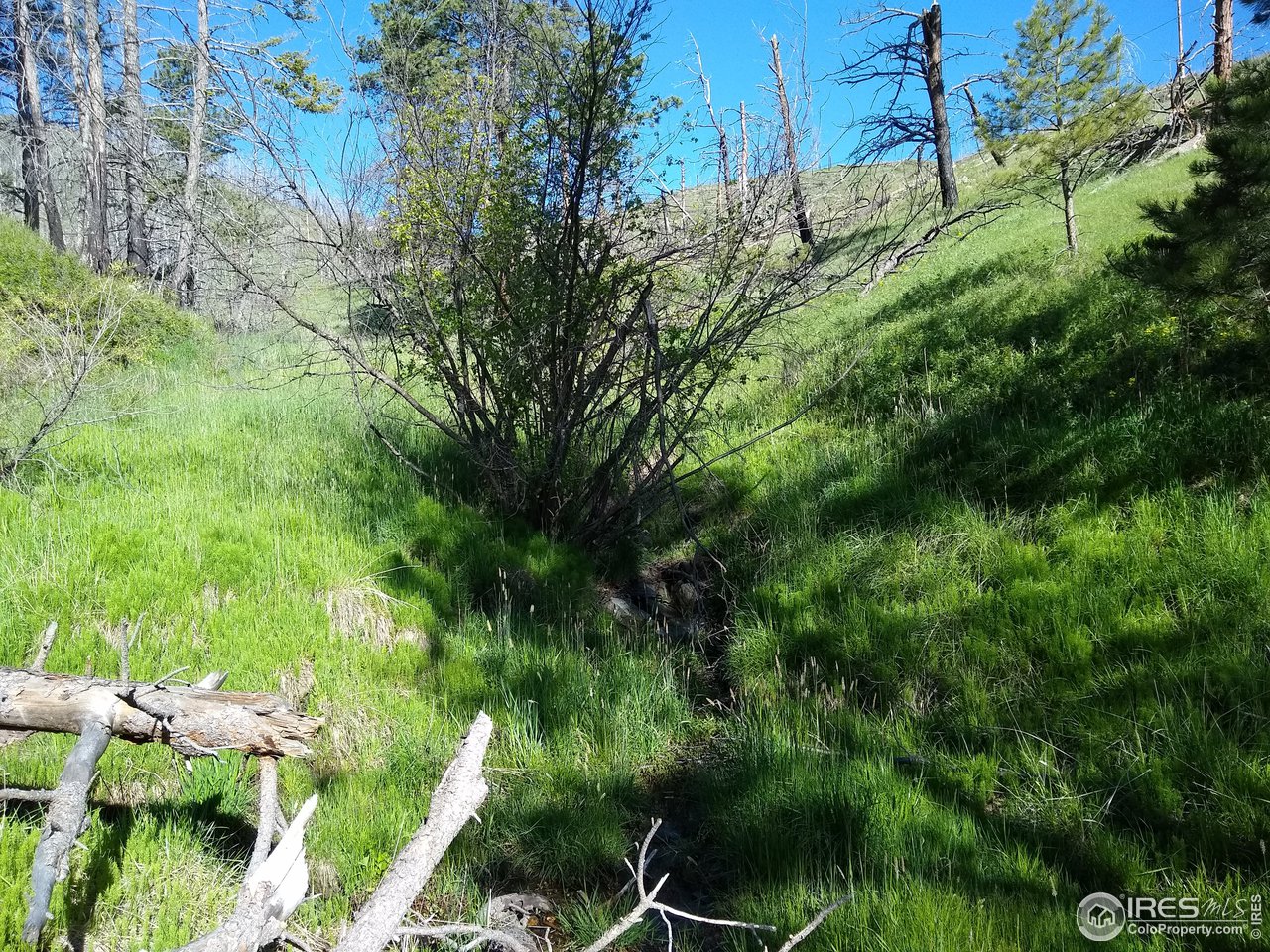 1600 Whale Rock Road Bellvue, CO 80512 - Photo 7 of 26