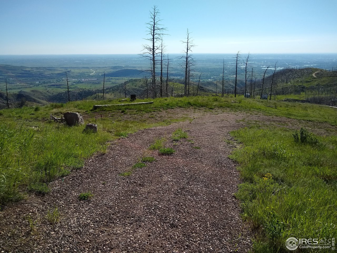 1600 Whale Rock Road Bellvue, CO 80512 - Photo 8 of 26