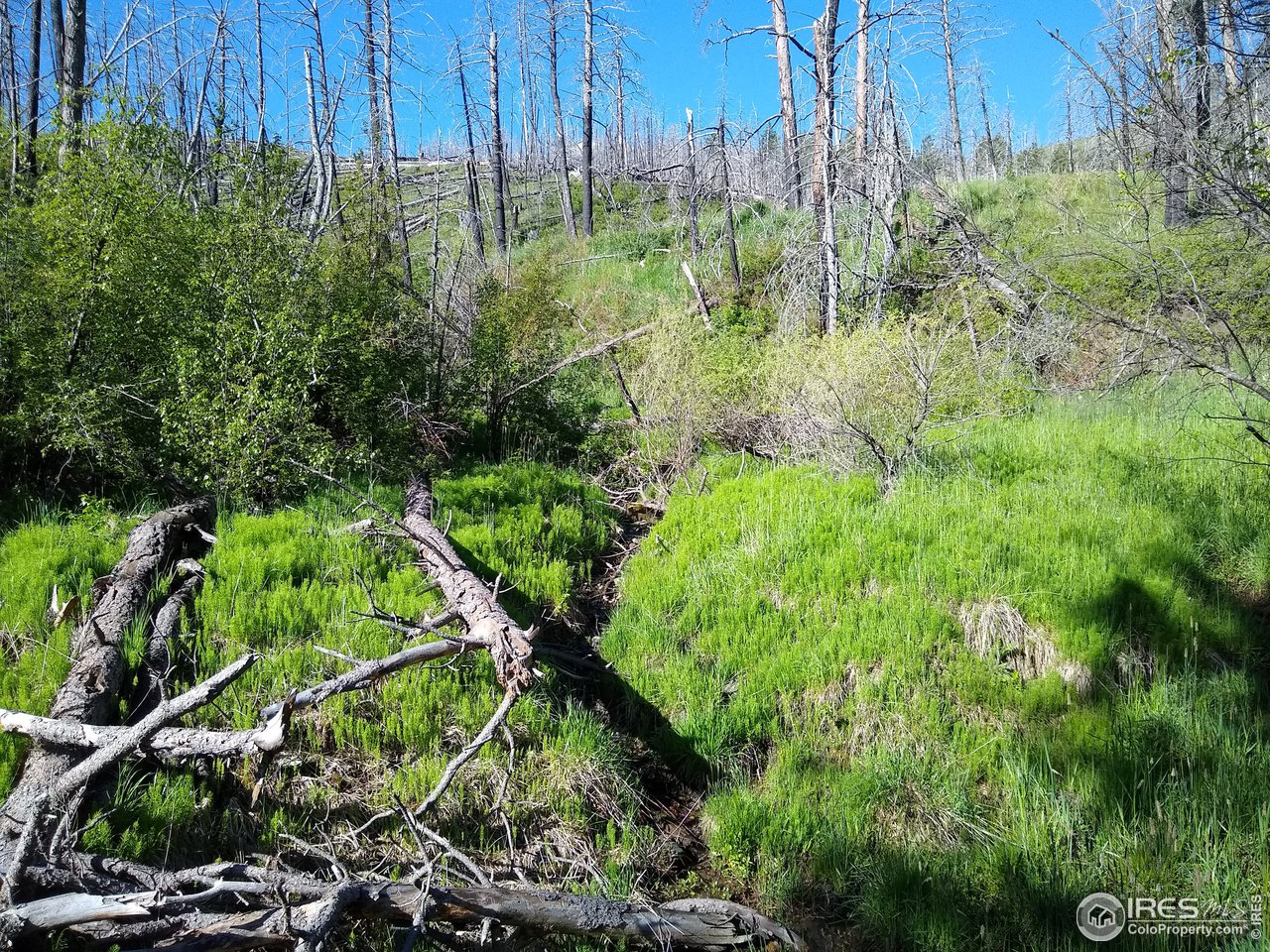 1600 Whale Rock Road Bellvue, CO 80512 - Photo 9 of 26