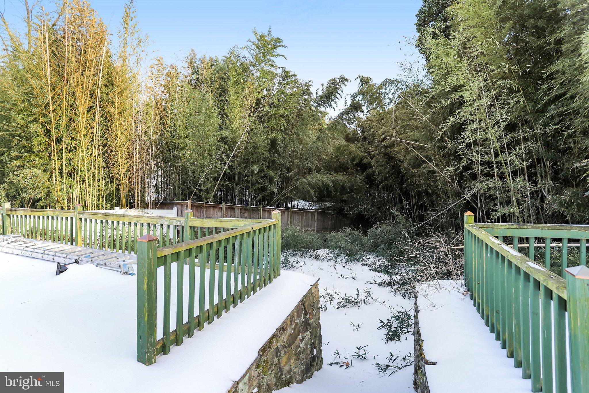 841 Bowie Road Rockville, MD 20852 - Photo 16 of 18 a view of street bridge