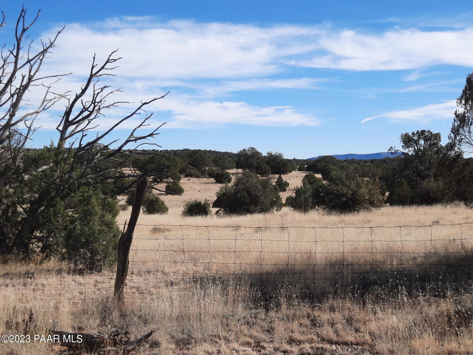 103 B Antelope Run Road Seligman, AZ 86337 - Photo 13 of 17 a view of lake