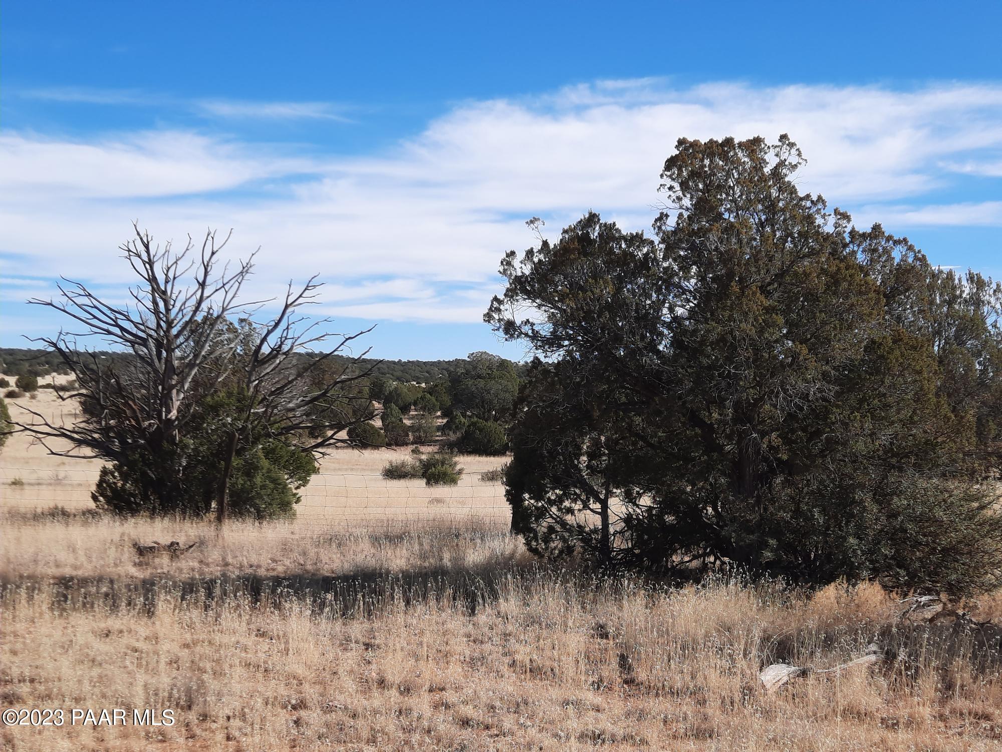 103 B Antelope Run Road Seligman, AZ 86337 - Photo 9 of 17 a view of lake