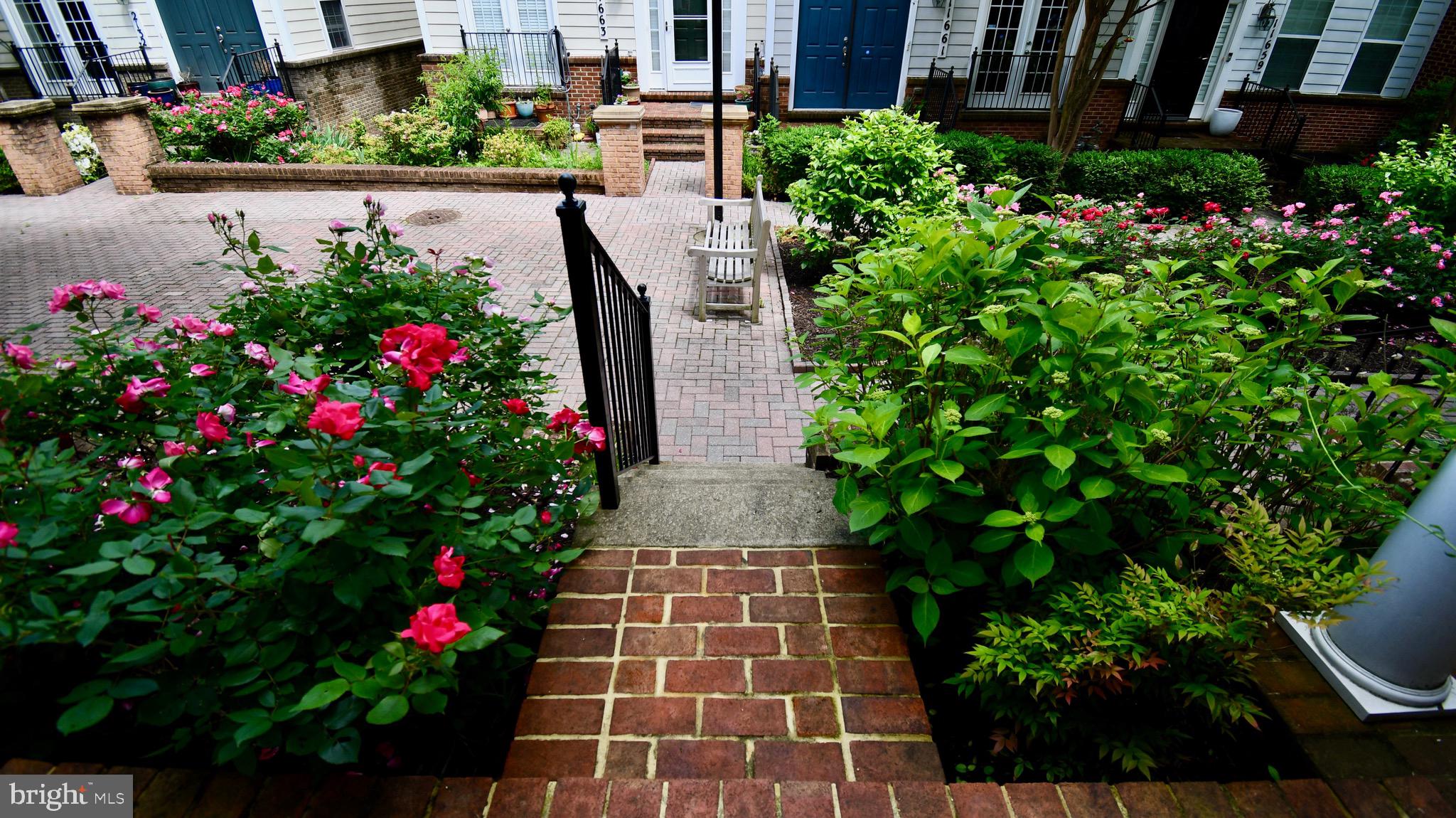 11665 Leesborough Circle Silver Spring, MD 20902 - Photo 28 of 82 a picture of flowers and flowers