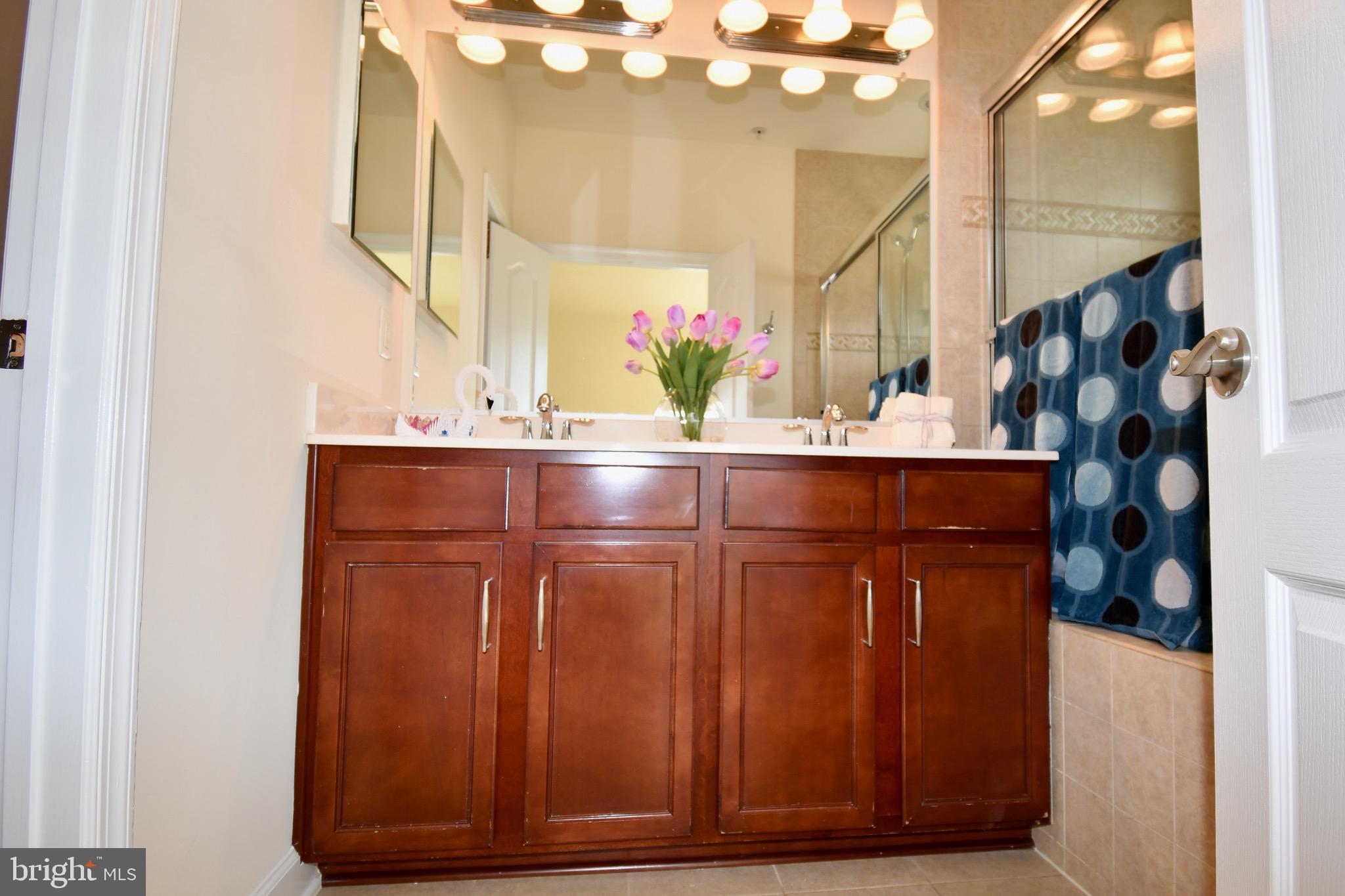 11665 Leesborough Circle Silver Spring, MD 20902 - Photo 62 of 82 a bathroom with a sink and a mirror