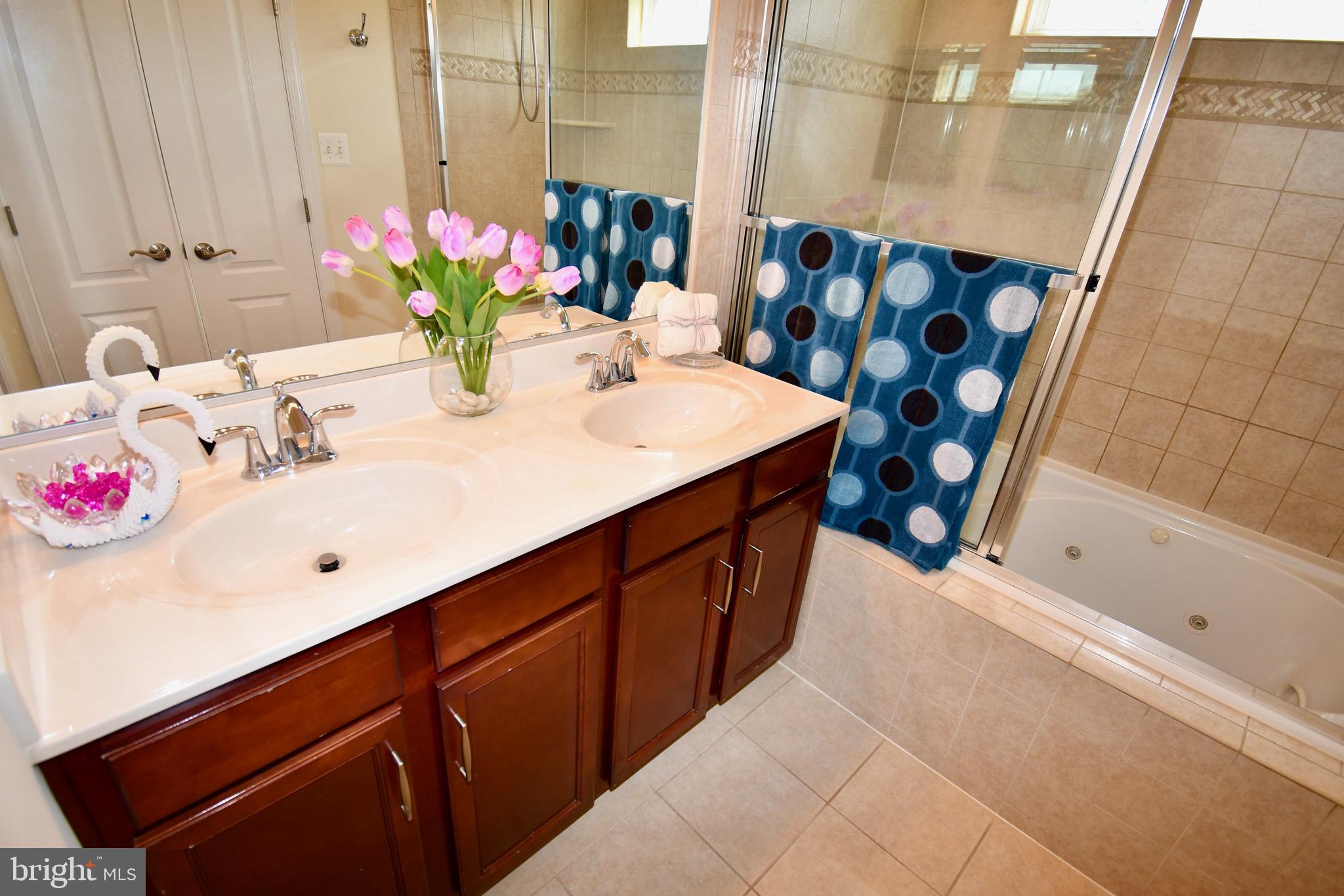 11665 Leesborough Circle Silver Spring, MD 20902 - Photo 66 of 82 a bathroom with a tub sink and mirror