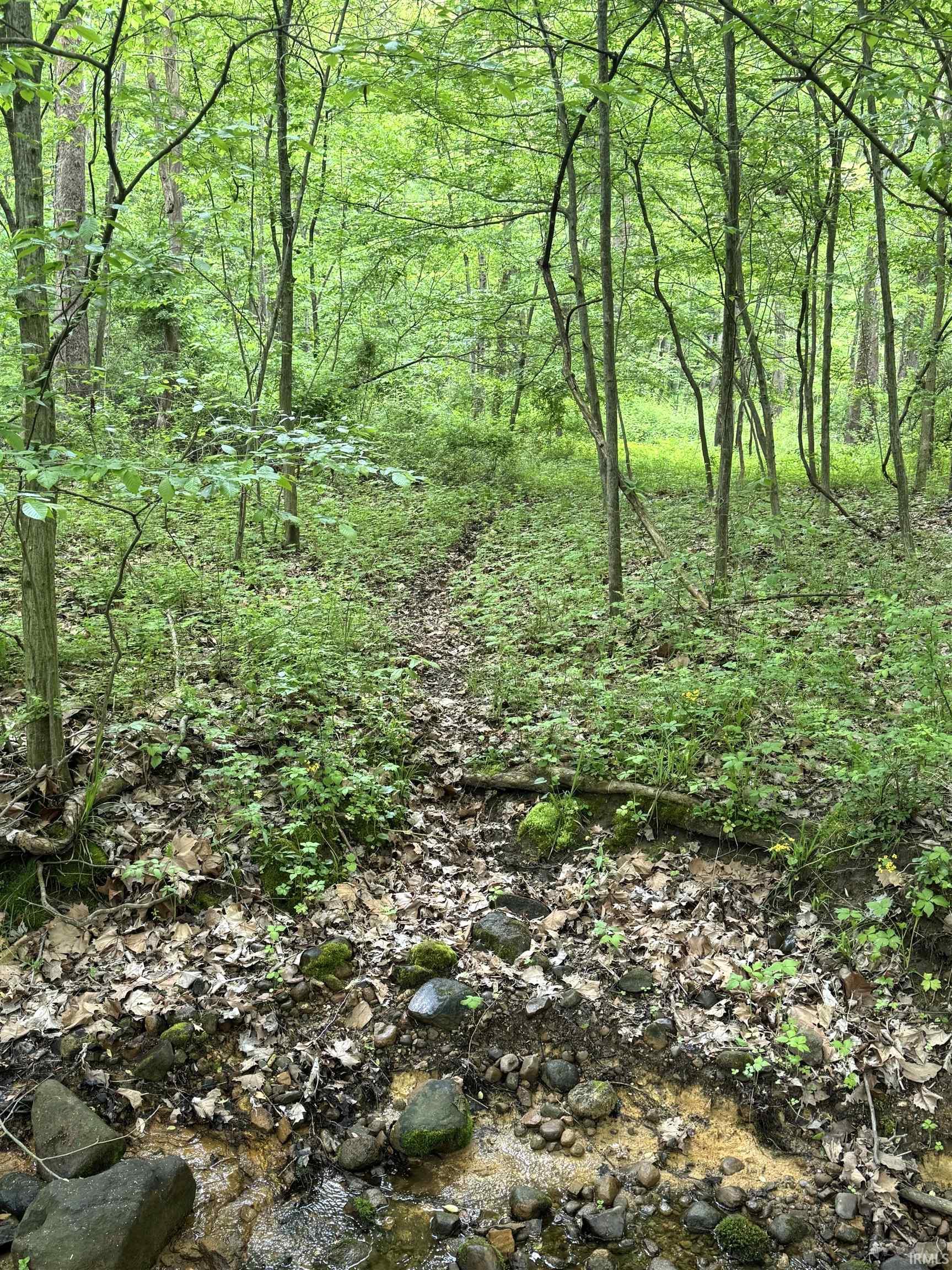 0 175 E Greencastle, IN 46135 - Photo 12 of 14