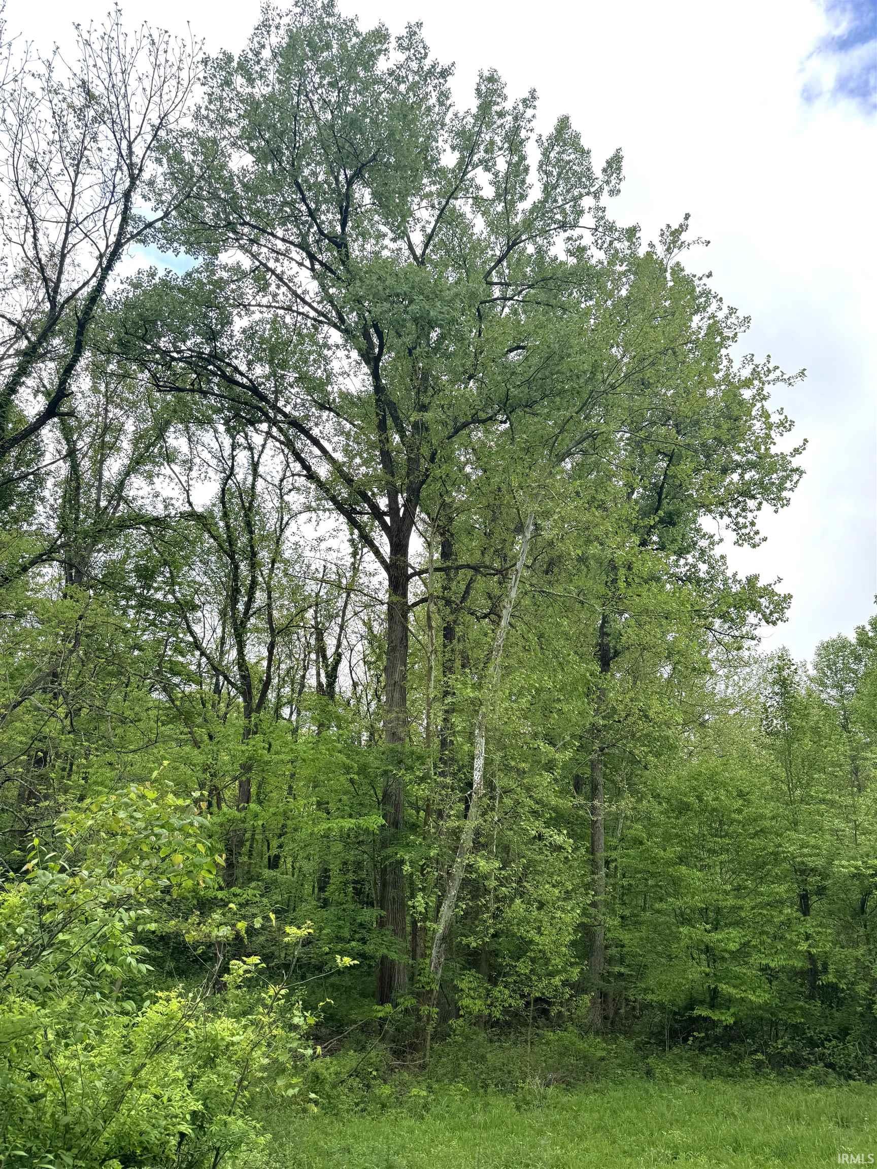 0 175 E Greencastle, IN 46135 - Photo 4 of 14