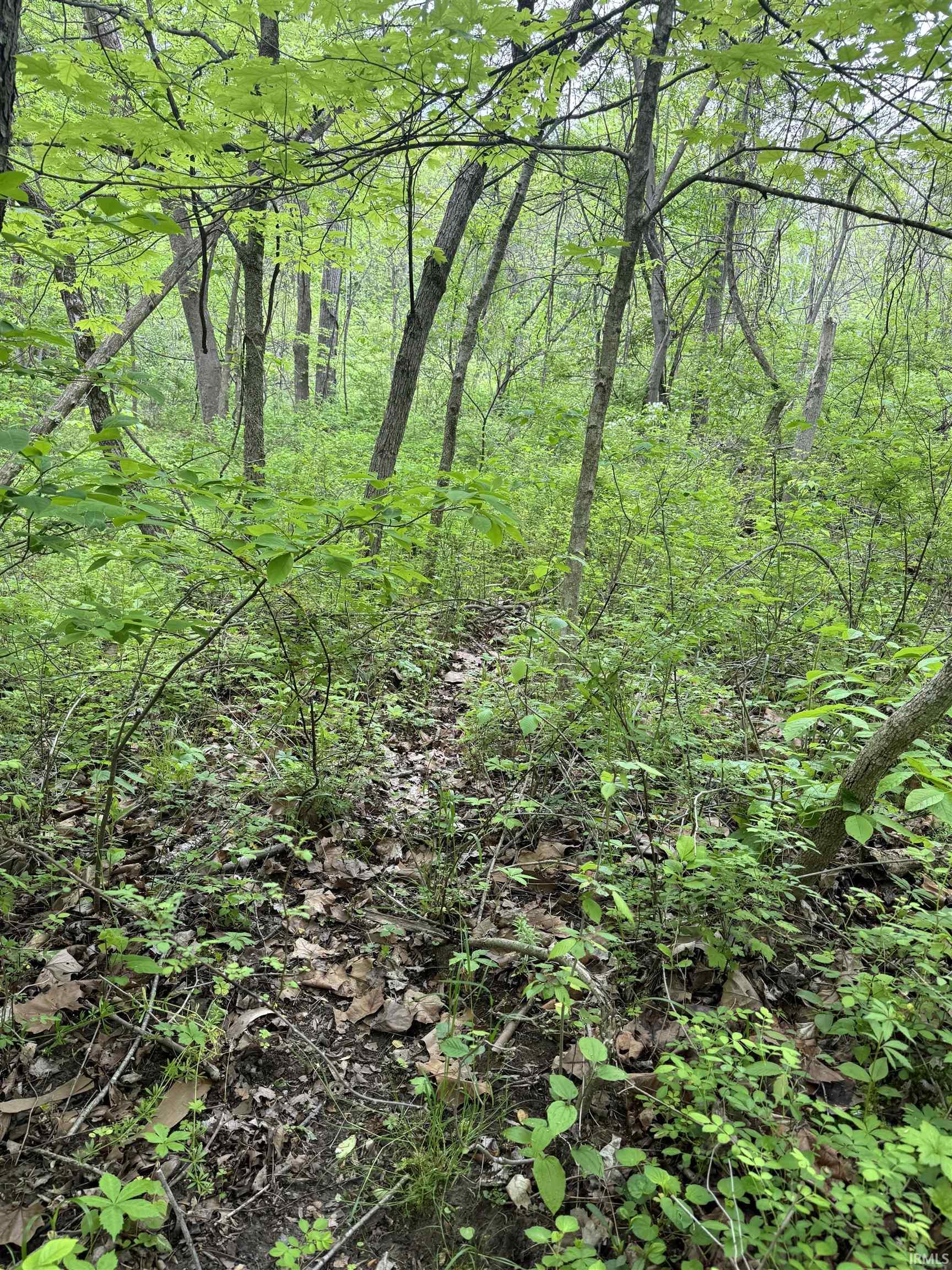 0 175 E Greencastle, IN 46135 - Photo 6 of 14