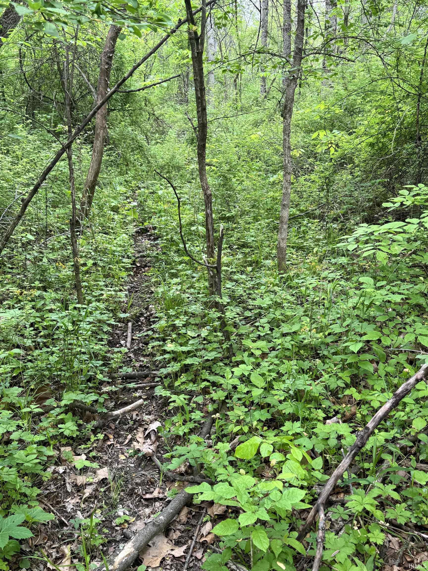 0 175 E Greencastle, IN 46135 - Photo 9 of 14