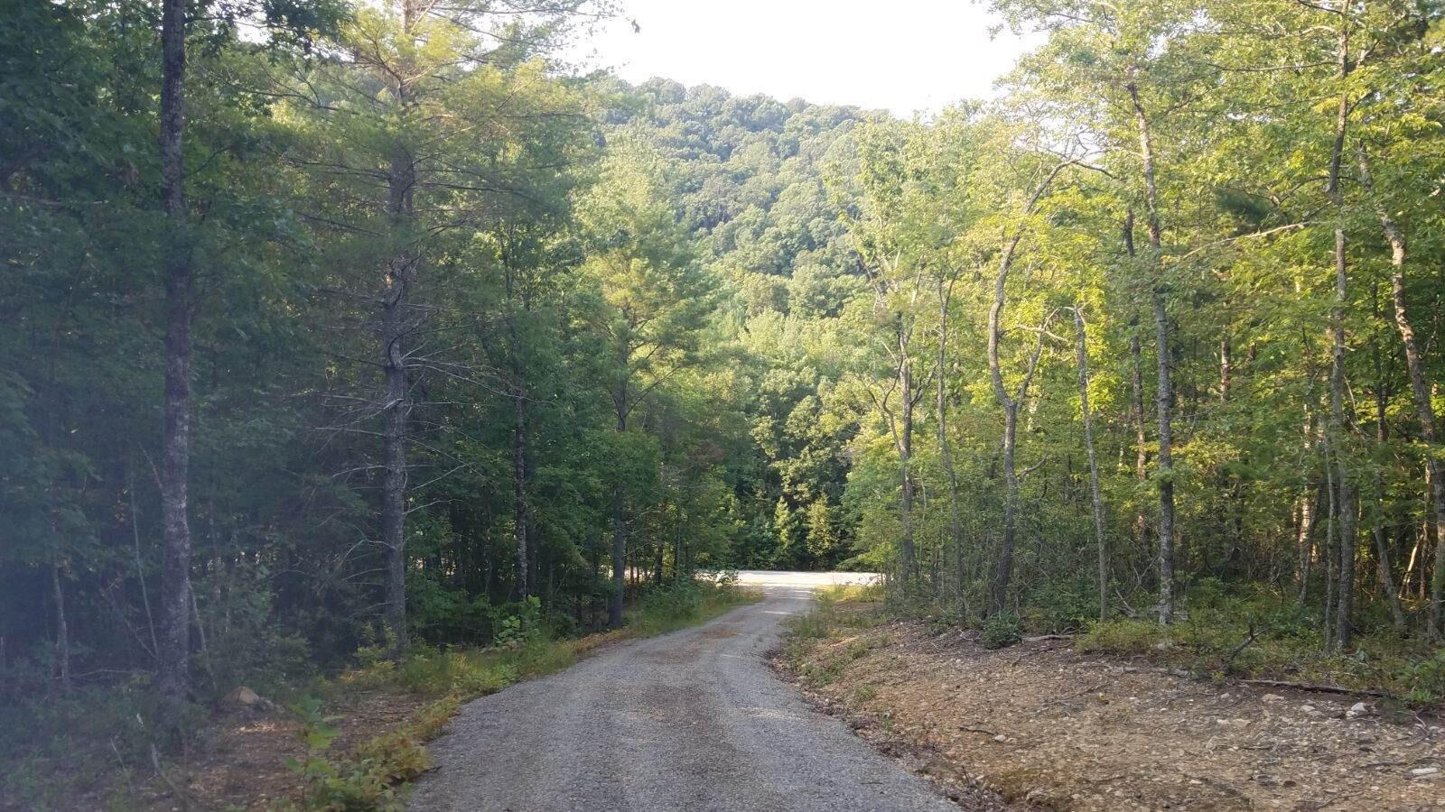 0 Galax Road New Castle, VA 24127 - Photo 2 of 6 Resized952021091295171128953885