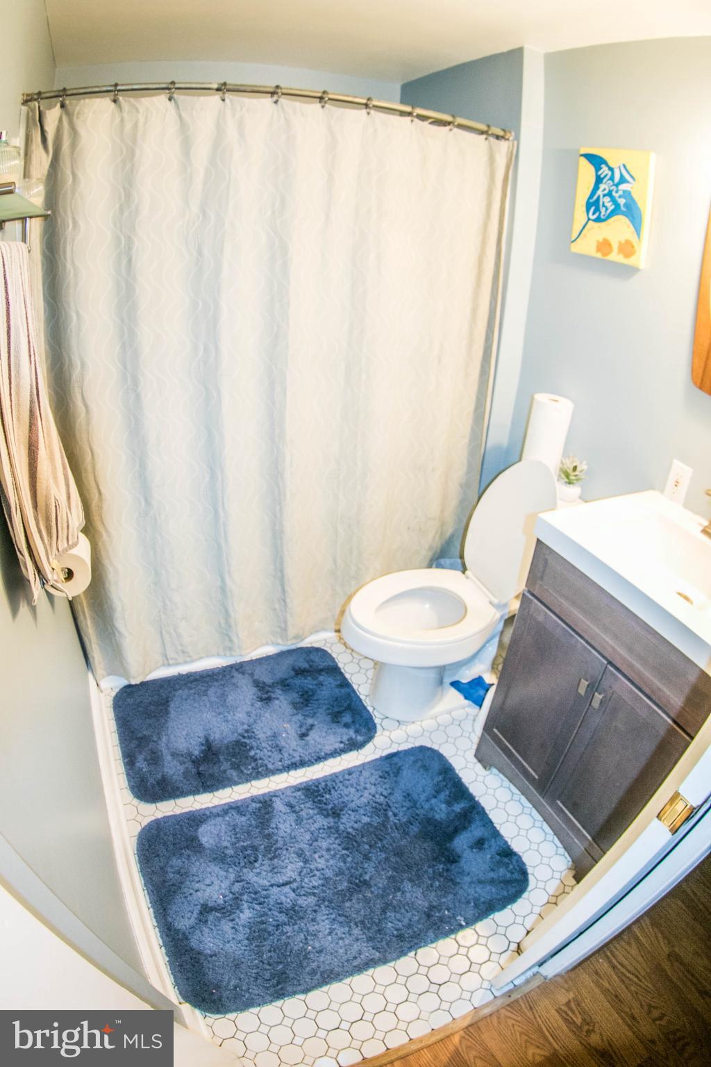 4133 Winchester Road Marshall, VA 20115 - Photo 19 of 31 Bathroom 4