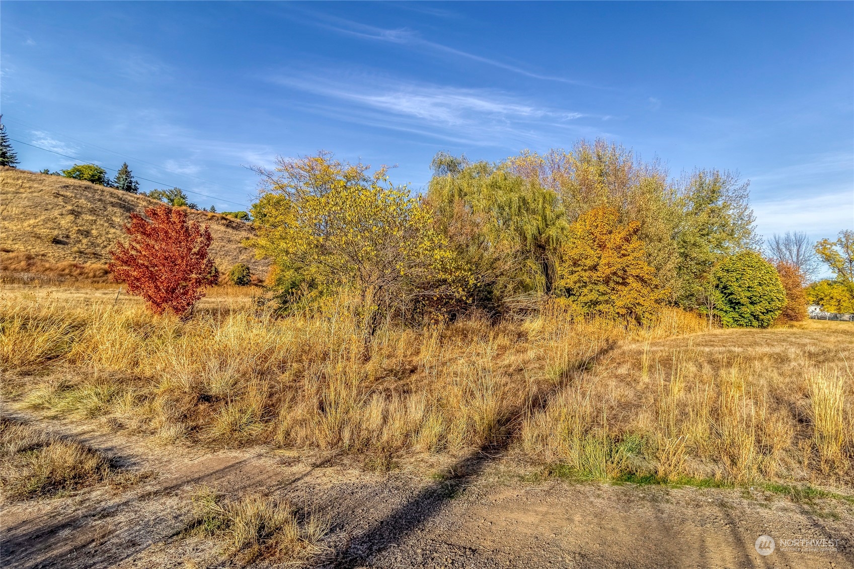 0 Bussell Road Walla Walla, WA 99362 - Photo 11 of 19
