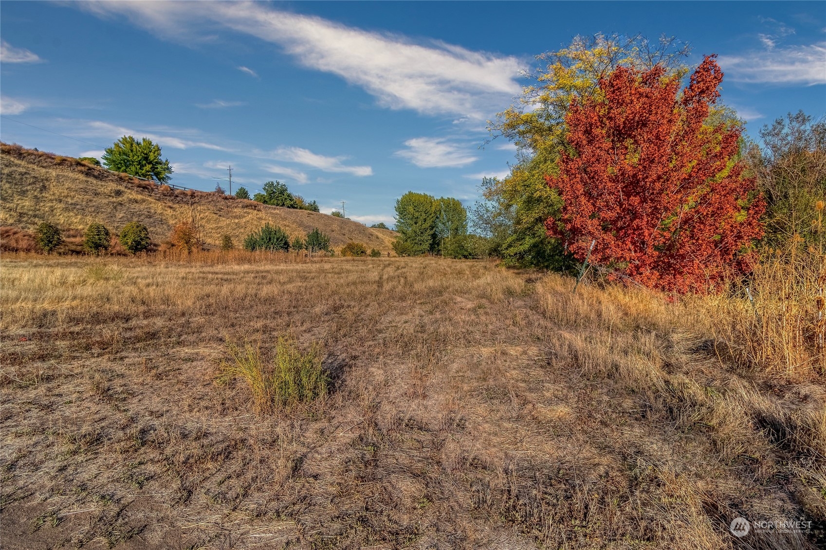 0 Bussell Road Walla Walla, WA 99362 - Photo 9 of 19