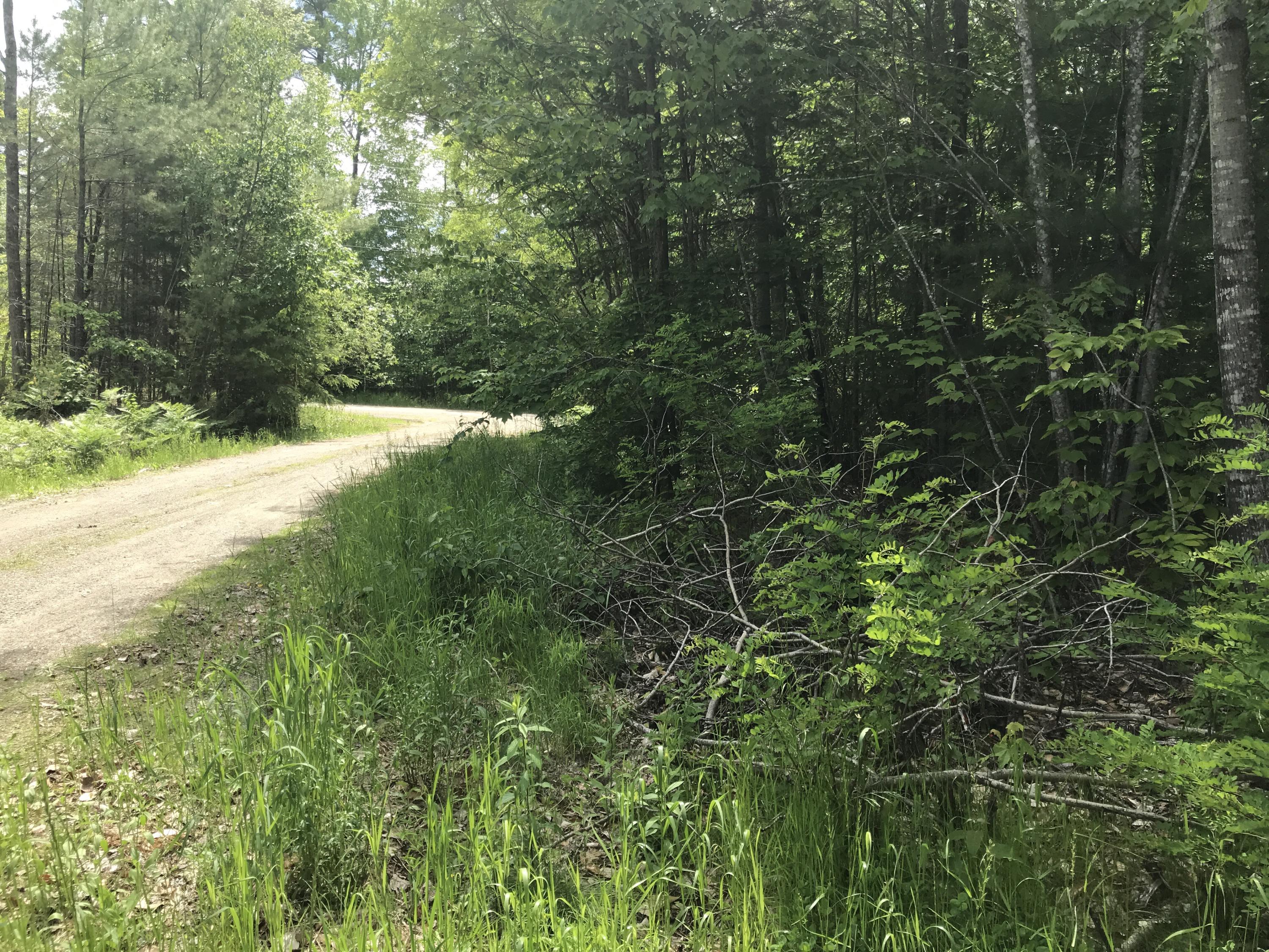 Lot 3 White Point Estates Road Lincoln, ME 04457 - Photo 1 of 5 2019-06-18 14.18.54