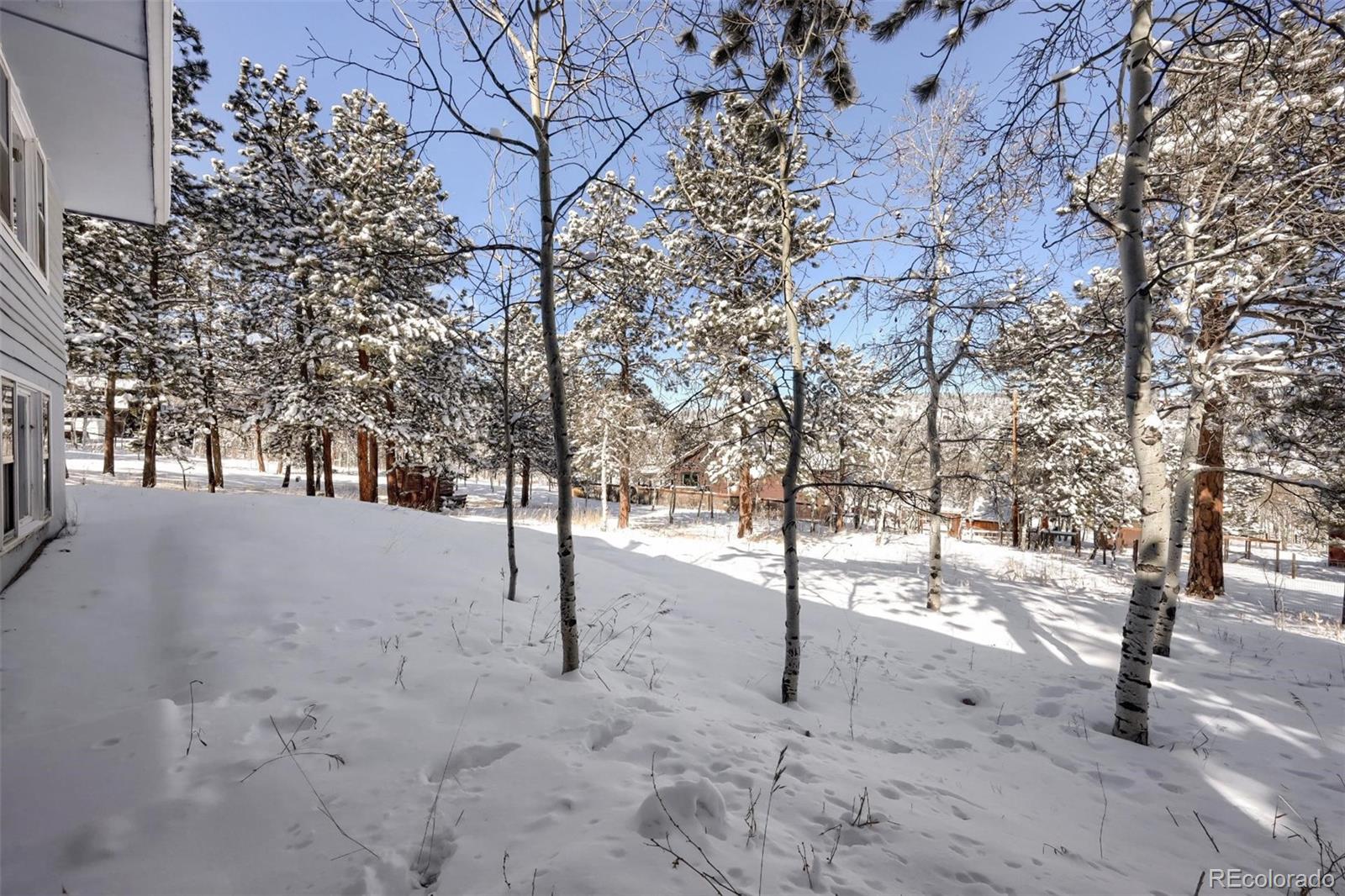 41 Yew Lane Bailey, CO 80421 - Photo 33 of 37