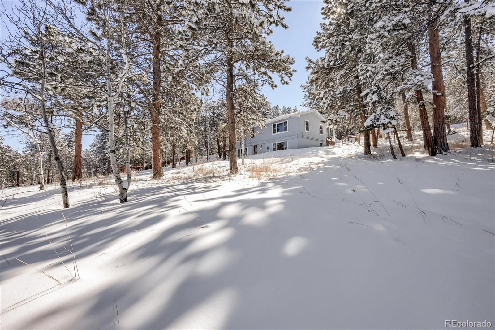 41 Yew Lane Bailey, CO 80421 - Photo 35 of 37