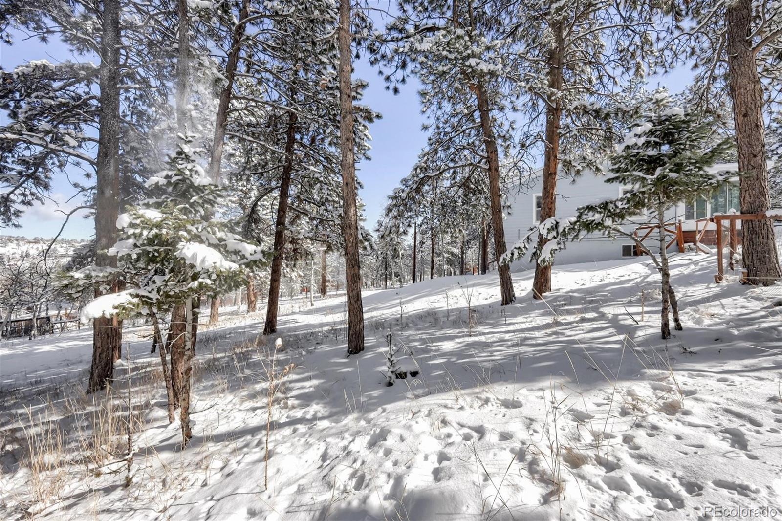 41 Yew Lane Bailey, CO 80421 - Photo 36 of 37