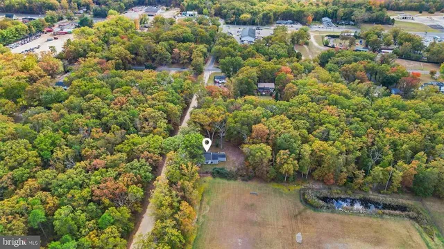 a view of a garden with plants