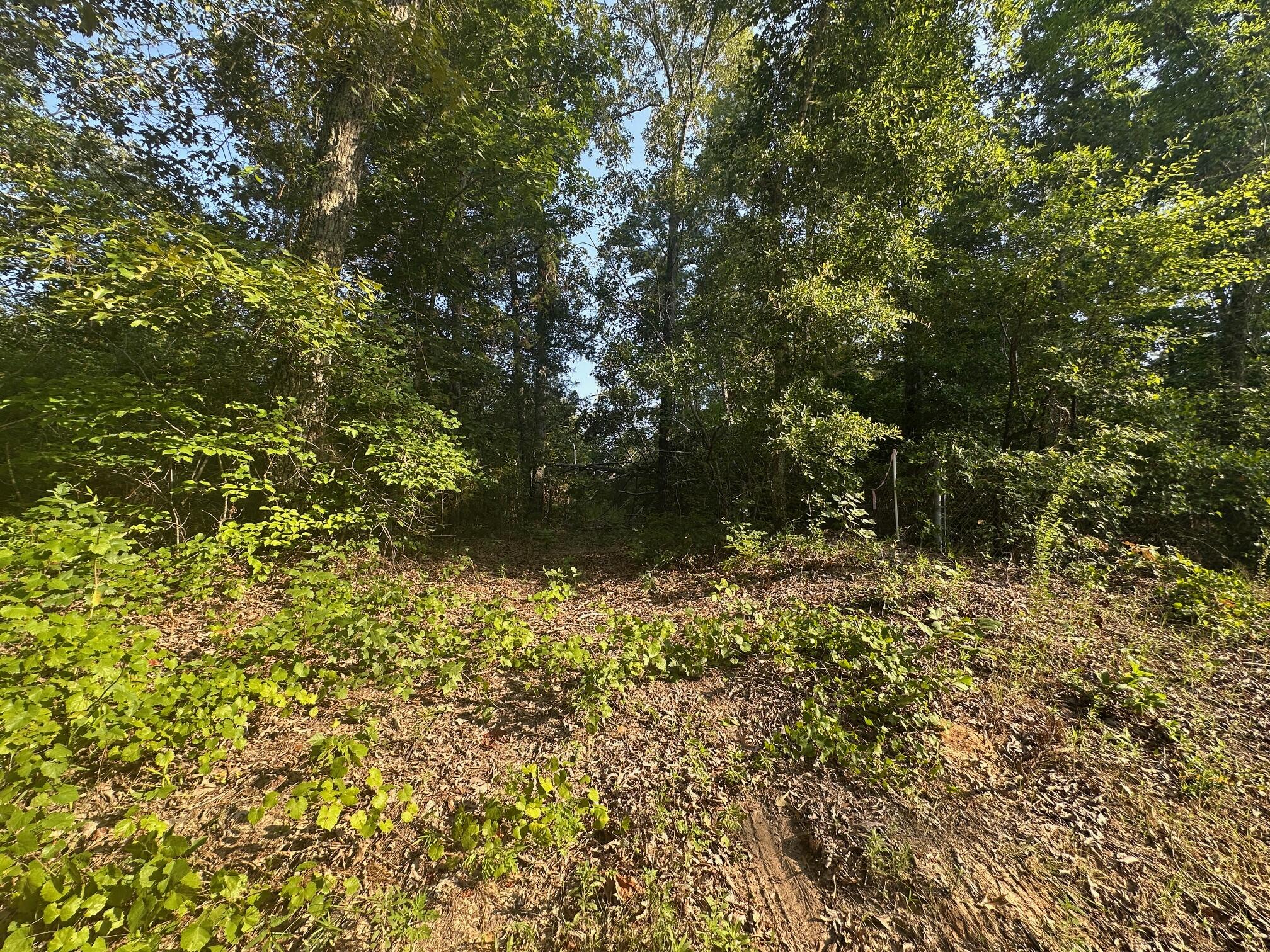 2576 Jessie James Pond Road Wrens, GA 30818 - Photo 46 of 47 IMG_4076