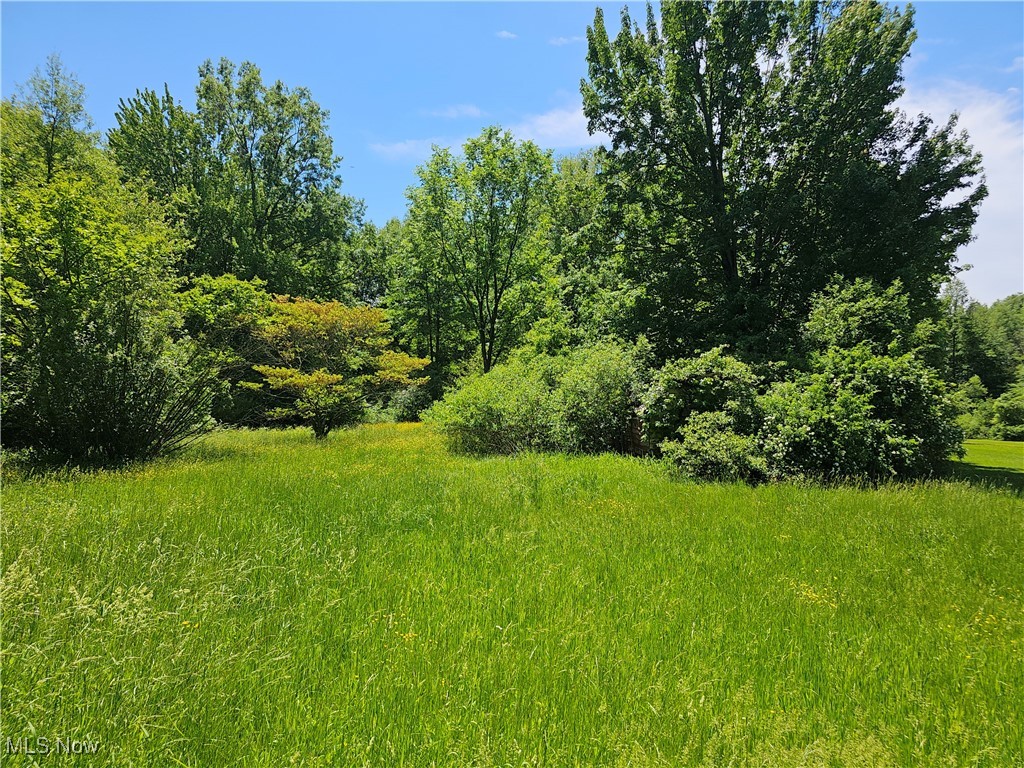 611 State Road Northwest Warren, OH 44483 - Photo 4 of 9 View of nature