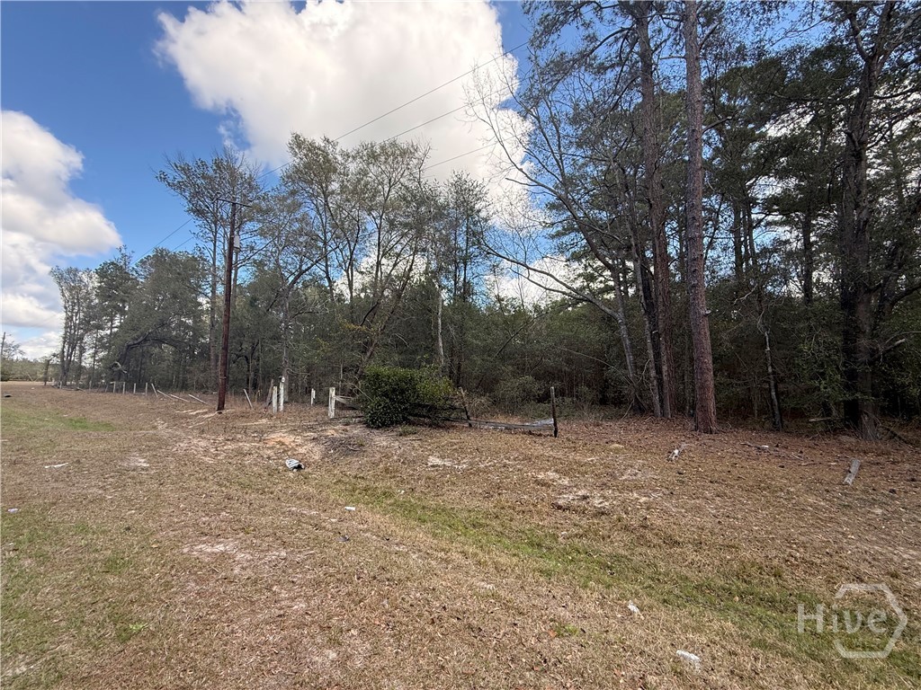 2362 Old Dixie Highway South Springfield, GA 31329 - Photo 8 of 9