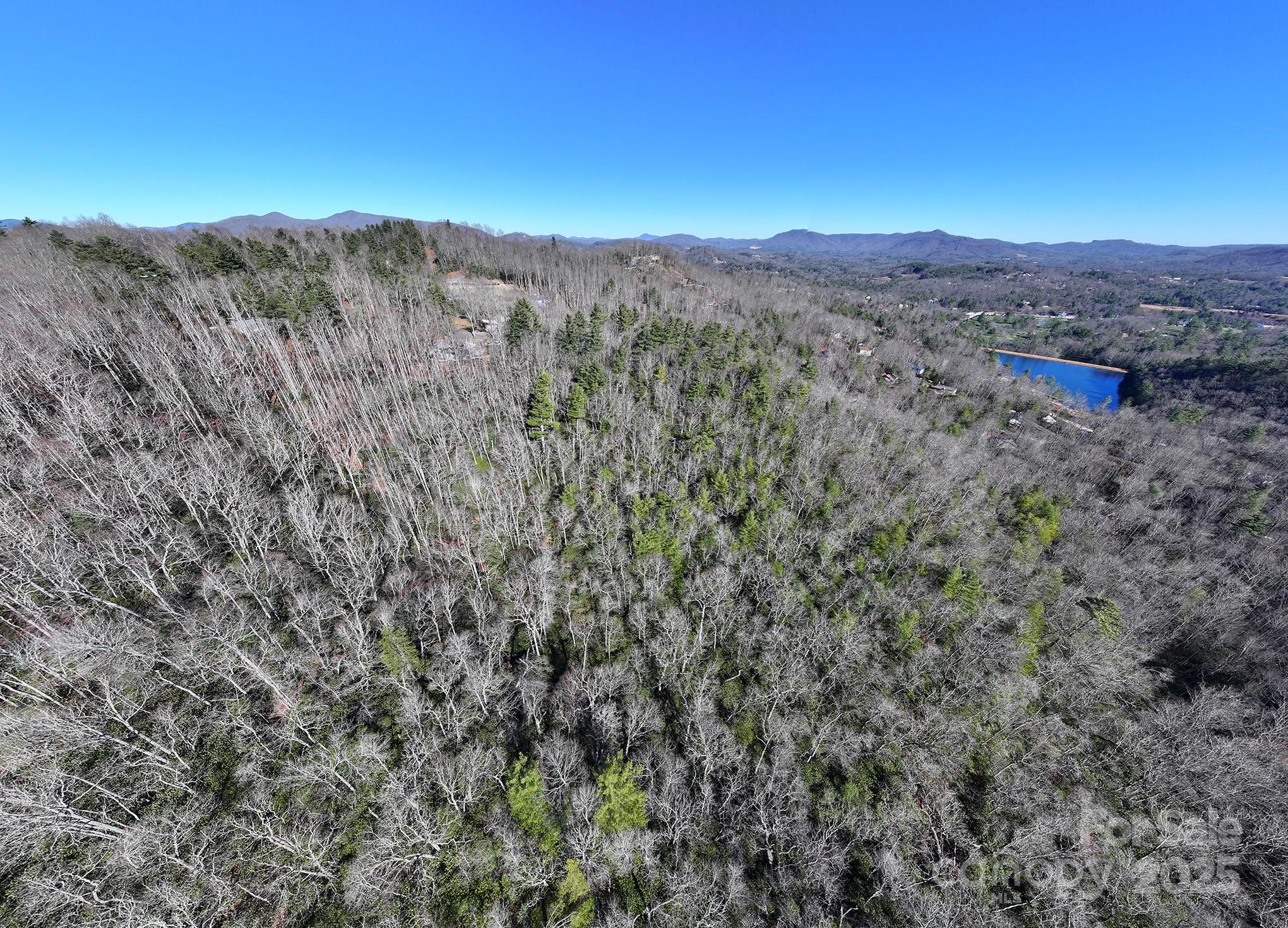 Tbd Mountain Stream Road Spruce Pine, NC 28777 - Photo 4 of 21 a view of a yard with a mountain in the background