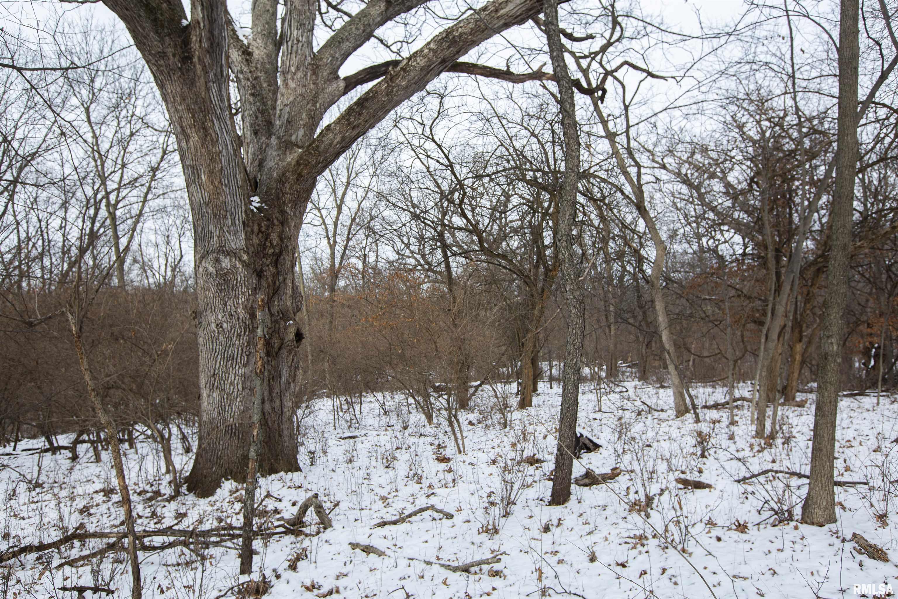 0 North Kramm Road Brimfield, IL 61517 - Photo 13 of 20