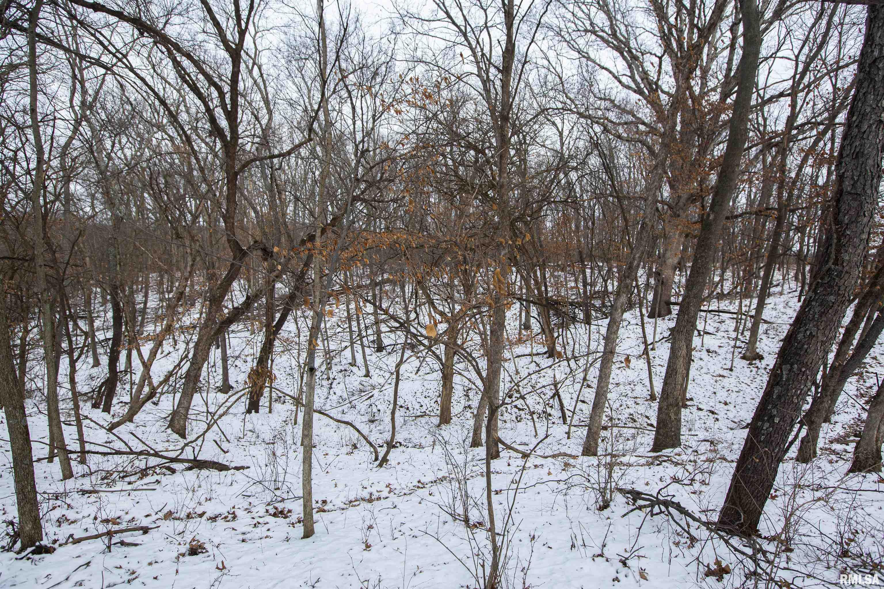 0 North Kramm Road Brimfield, IL 61517 - Photo 14 of 20