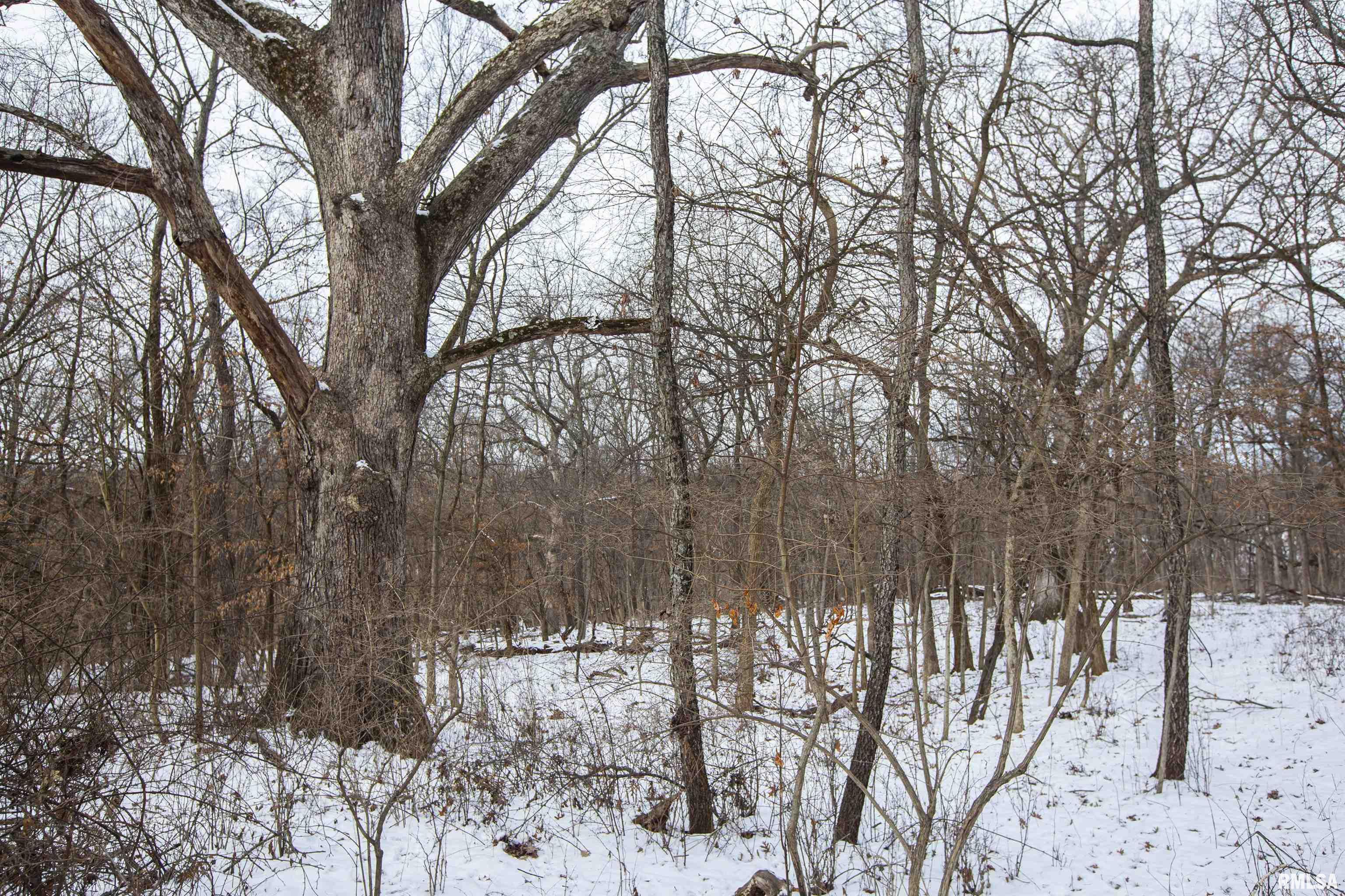 0 North Kramm Road Brimfield, IL 61517 - Photo 17 of 20