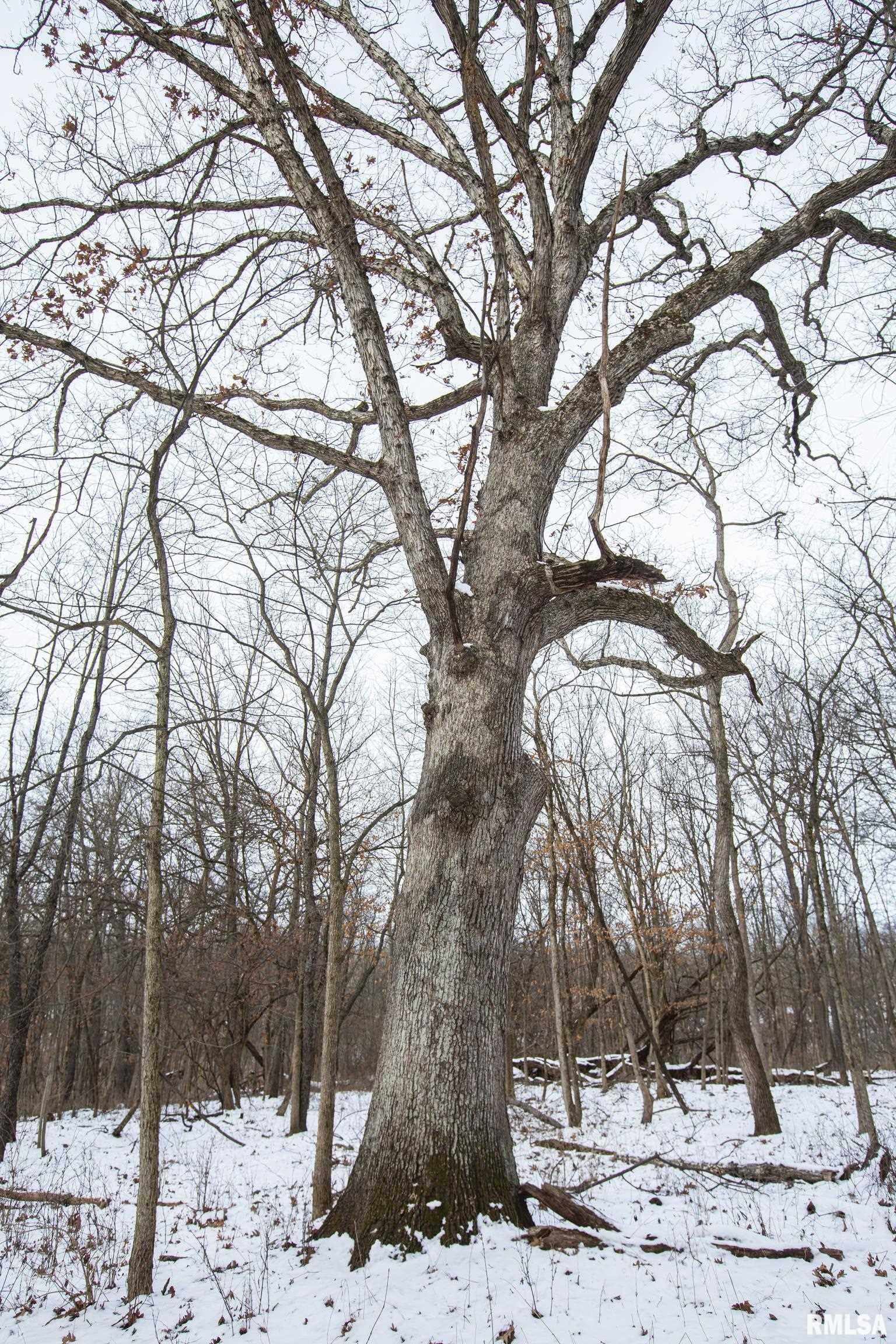 0 North Kramm Road Brimfield, IL 61517 - Photo 19 of 20