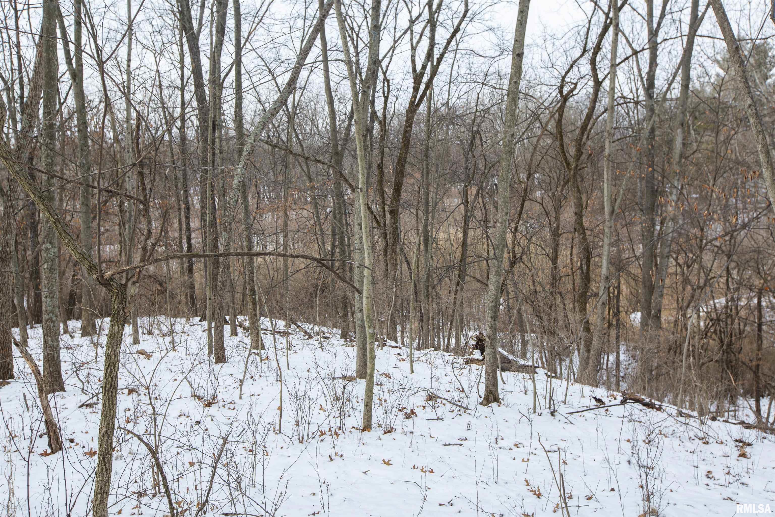 0 North Kramm Road Brimfield, IL 61517 - Photo 20 of 20