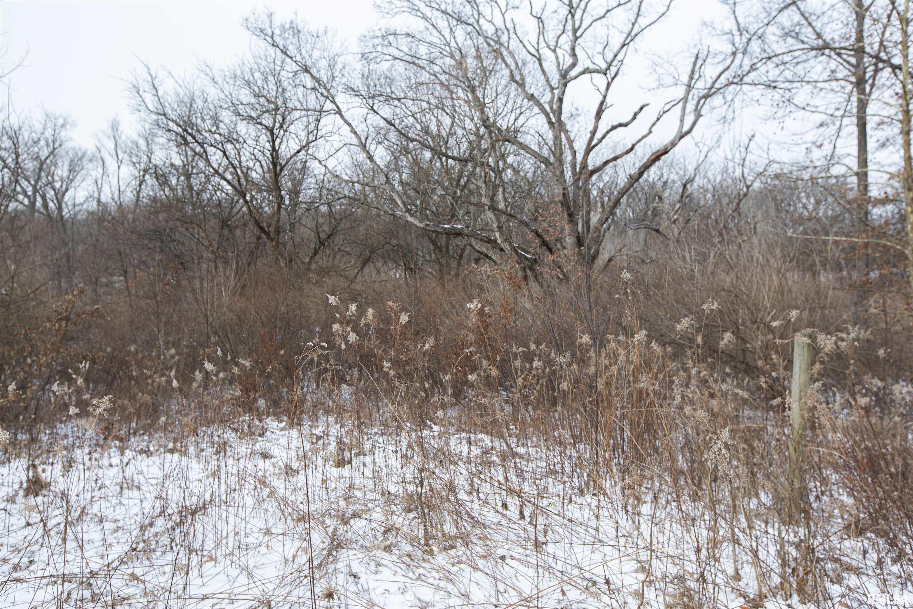 0 North Kramm Road Brimfield, IL 61517 - Photo 9 of 20