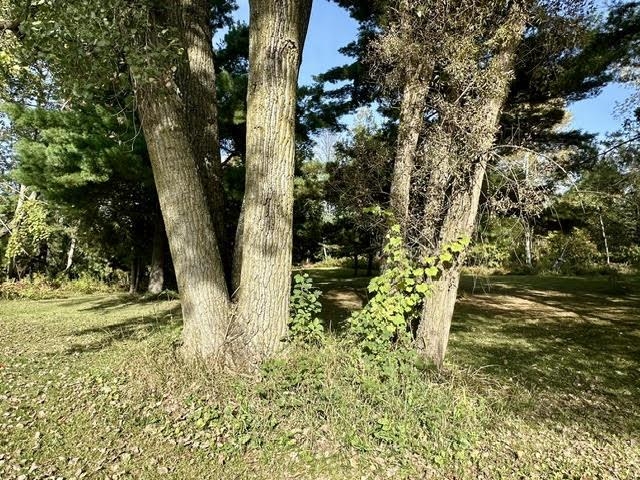 South White Potato Lake Road, Unit 11 Pound, WI 54161 - Photo 11 of 11