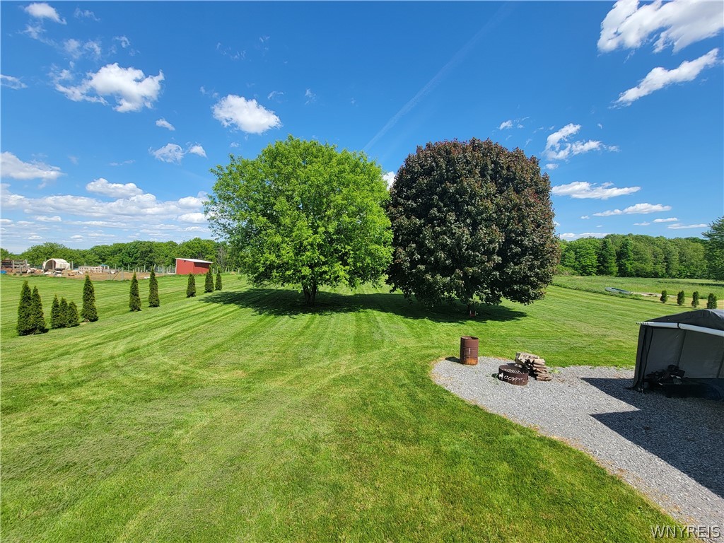 1163 Perry Road Covington, NY 14525 - Photo 37 of 41