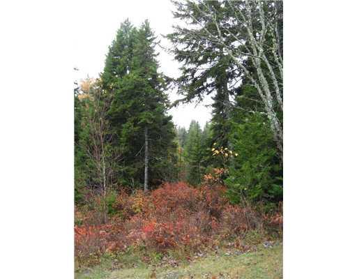 0 Big Moose Road Bass Harbor, ME 04653 - Photo 1 of 3 Land/Lot.