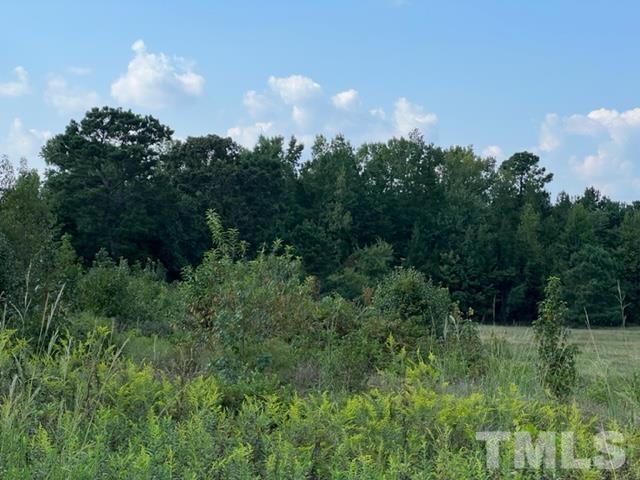 Lot 2 Old Stage Road Coats, NC 27521 - Photo 1 of 2 a view of a city and lush green forest