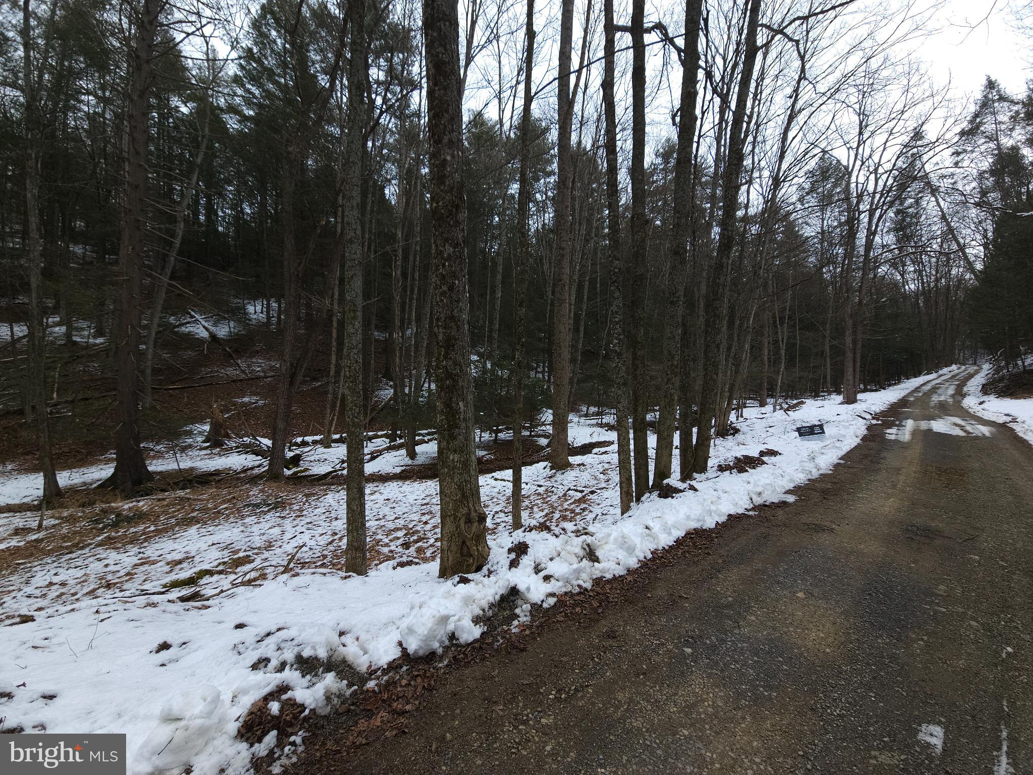 0 Spriggle Road Elliottsburg, PA 17024 - Photo 9 of 18 Serene winter landscape with snowy path.