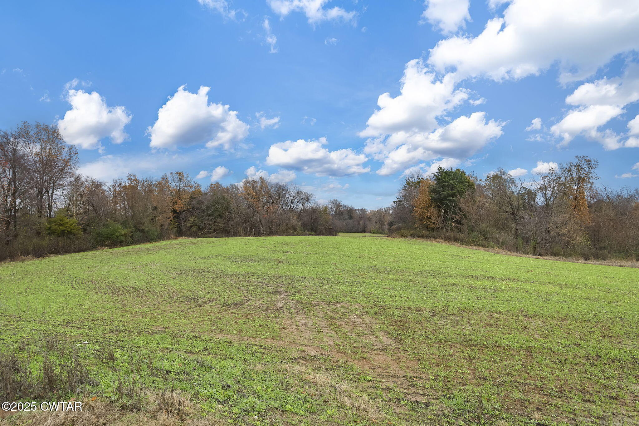 0 Jesse Patterson Road Trenton, TN 38382 - Photo 1 of 31 Open Meadow