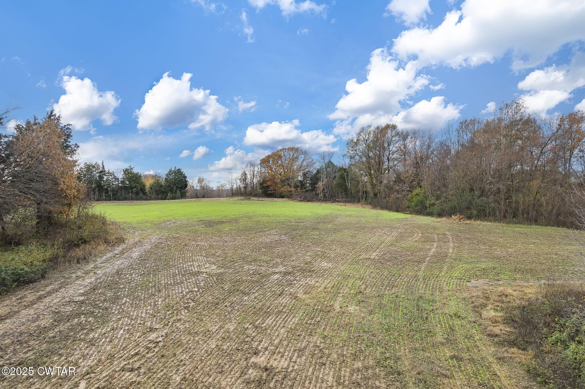 0 Jesse Patterson Road Trenton, TN 38382 - Photo 11 of 31 Woodland Edge