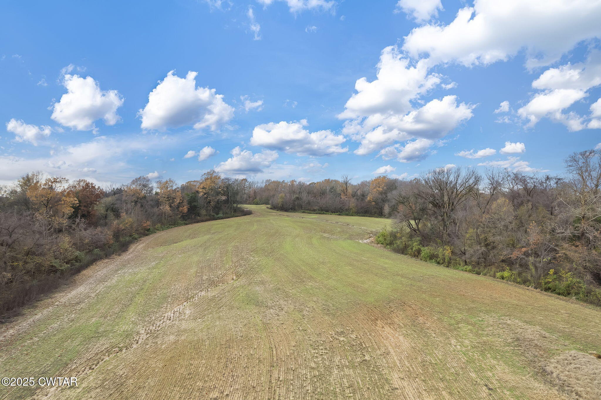 0 Jesse Patterson Road Trenton, TN 38382 - Photo 2 of 31 Rolling View