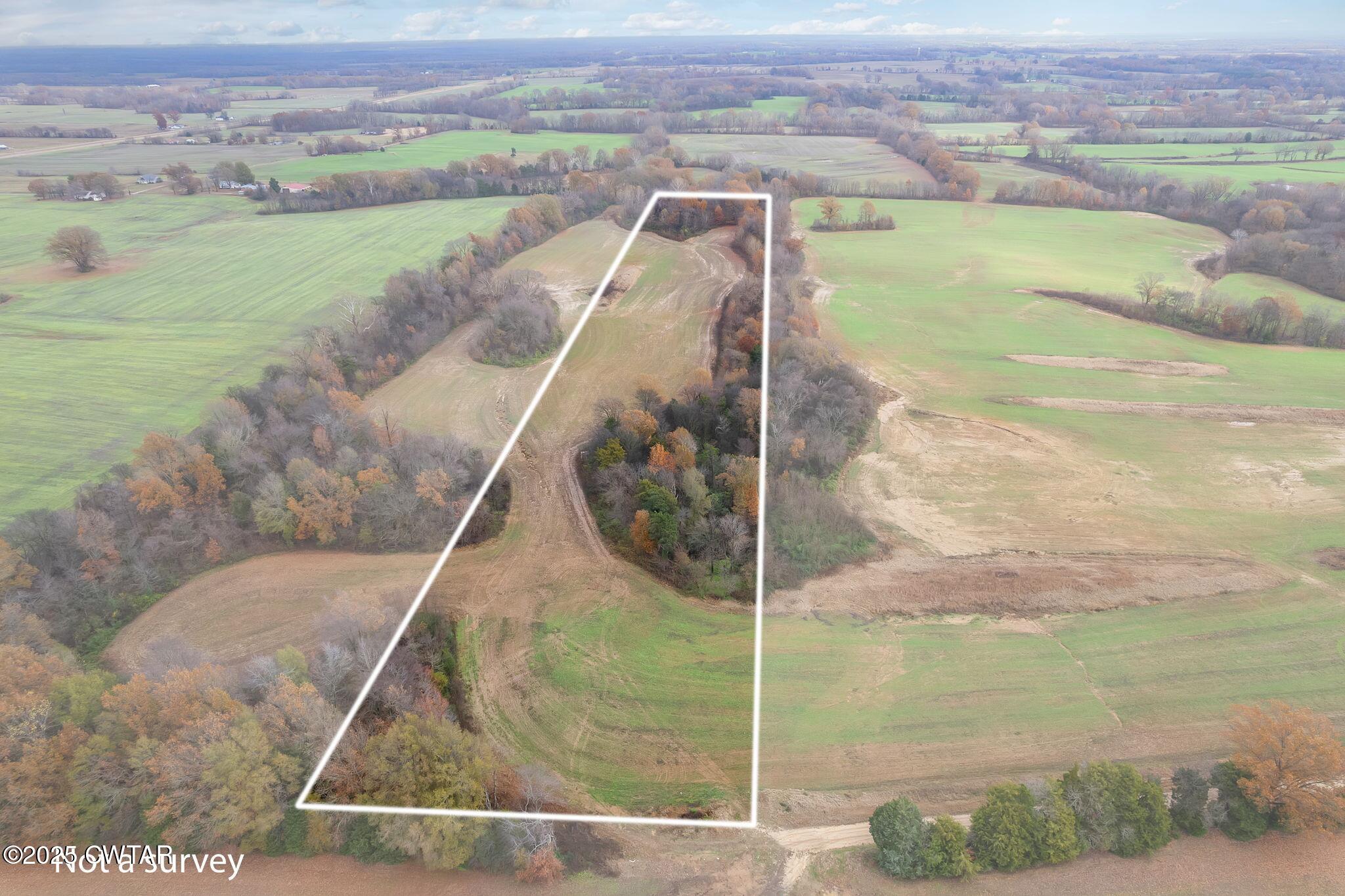 0 Jesse Patterson Road Trenton, TN 38382 - Photo 29 of 31 a view of a swimming pool with a yard