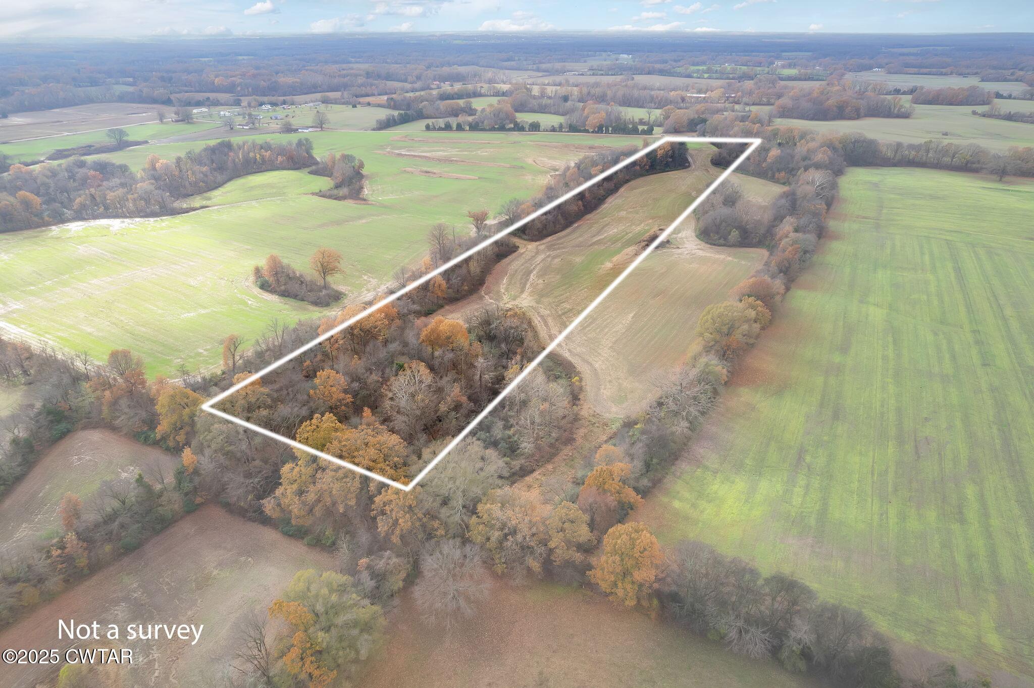 0 Jesse Patterson Road Trenton, TN 38382 - Photo 30 of 31 Long Tract View-Rear to Front